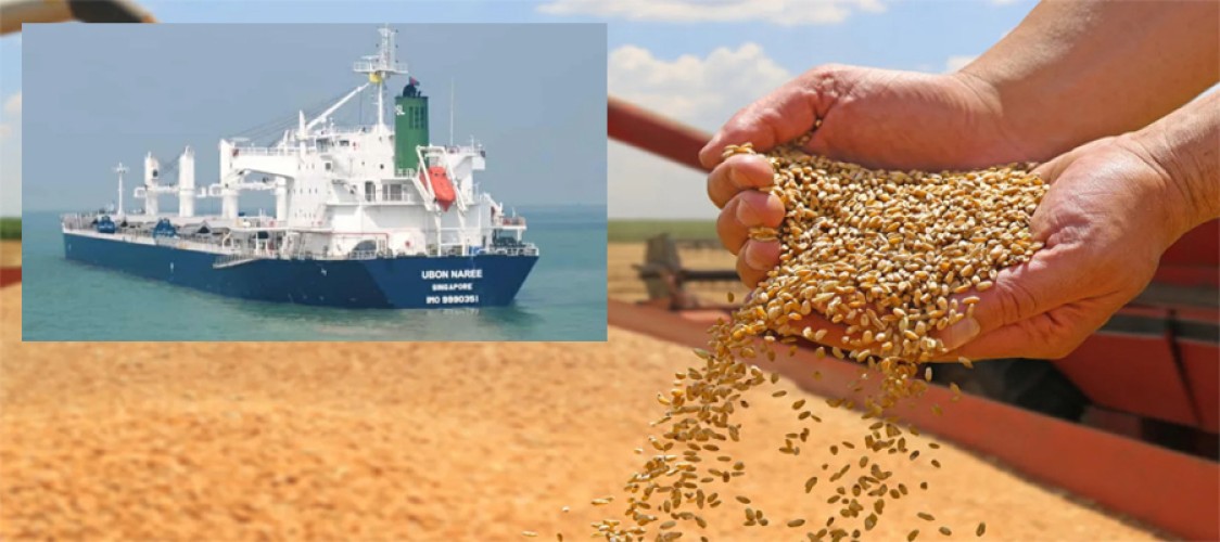 Another 62,000 metric tons of wheat arrived from the United States