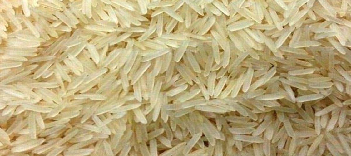 Pakistan's rice exports to China increase by 511 percent in first quarter