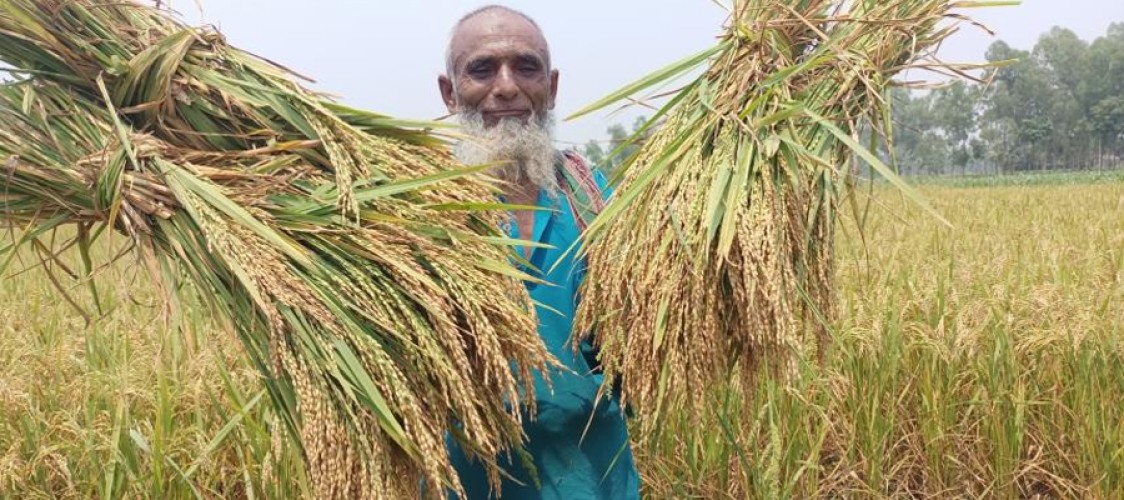 Bangladesh government has allocated Tk 28,881 crore for the agriculture sector