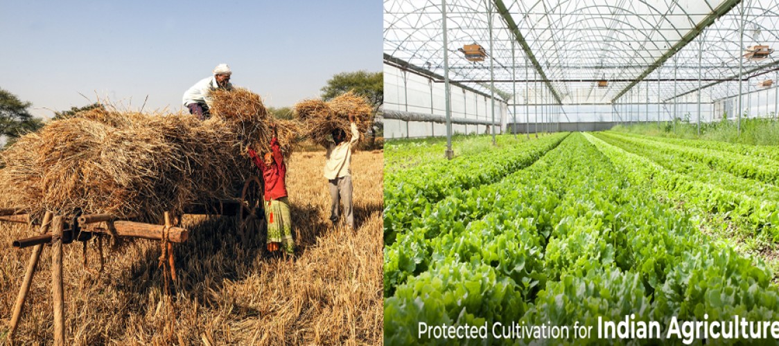 Importance of Agriculture in Indian Economy & Development