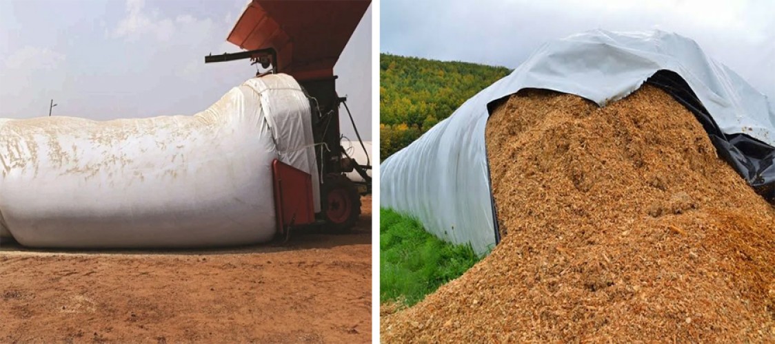 An exclusive report on silo Bag of Argentina