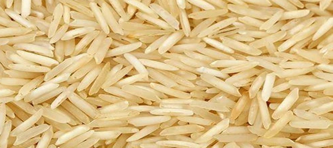 Basmati rice yield in India likely to be 5-10 percent higher this year: Industry leader